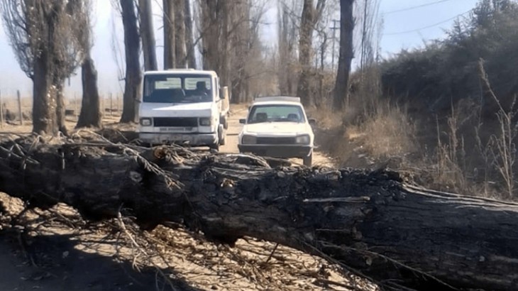 El paso de la tormenta, genera complicaciones en varios departamentos de Mendoza