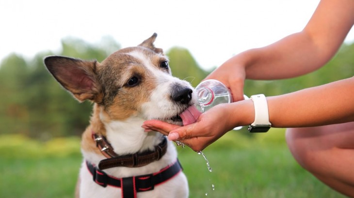 Cesan las lluvias y sube la temperatura en Mendoza