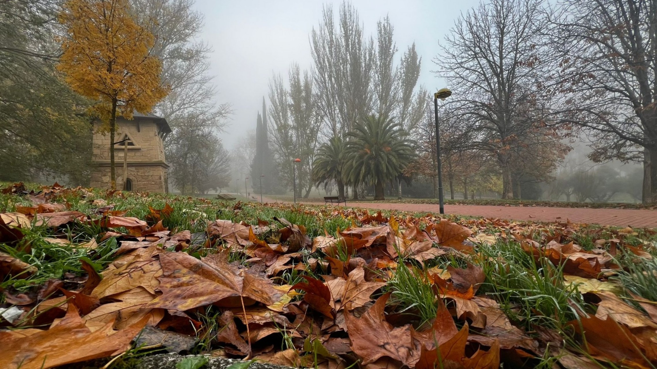 Viento sur durante este miércoles y Zonda leve el jueves con inestabilidad en Mendoza