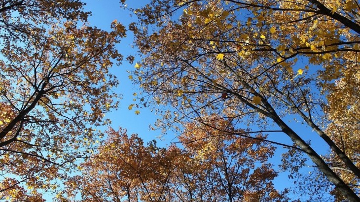 Así estará el tiempo este domingo en Mendoza
