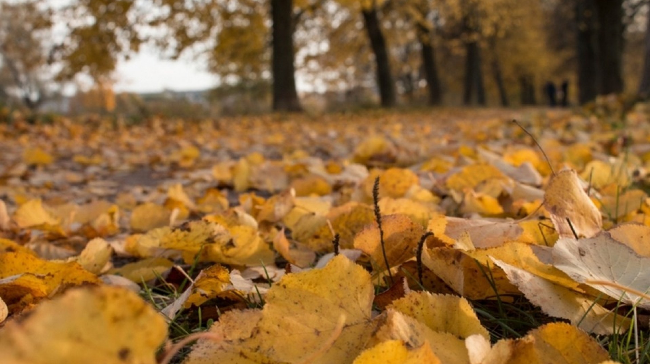 Zonda débil, ingreso de viento sur y probabilidad de lluvias en Mendoza