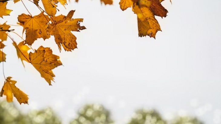 Tiempo estable y templado en La Rioja para este sábado