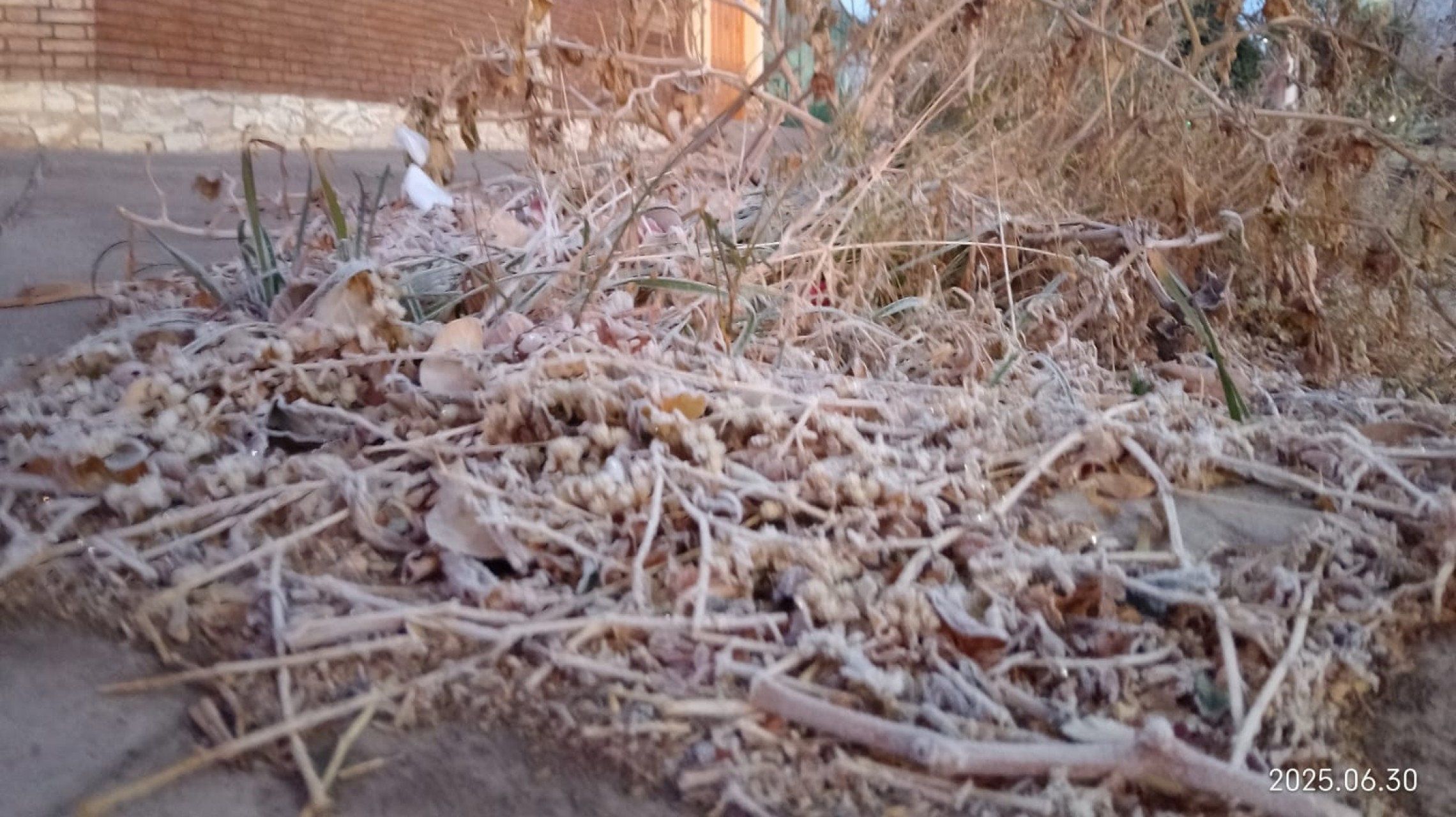 Jornada estable y leve cambio de viento hacia el viernes en Mendoza