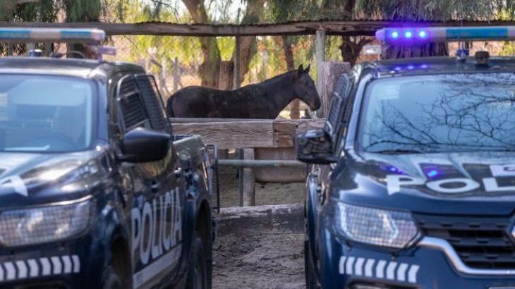Robaron frente a un local comercial en San Rafael