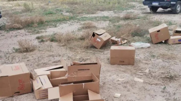 Robaron y saquearon un camión frigorífico en San Rafael: se llevaron más de dos toneladas de mercadería