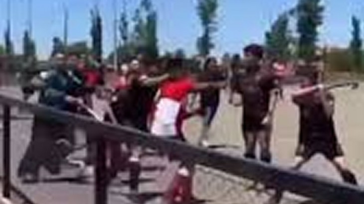 Hasta 99 años de suspensión a jugadores de hockey que protagonizaron graves incidentes en un partido