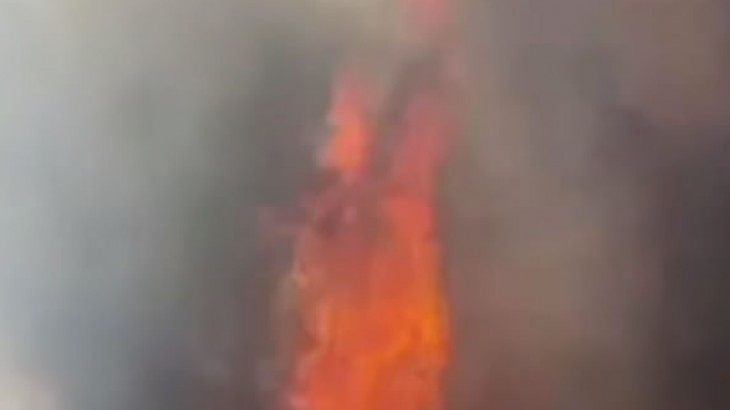 Rivadavia: un incendio de gran magnitud afectó 75 hectáreas