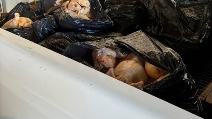 Secuestraron más de 260 kilos en controles en General Alvear y Guaymallén