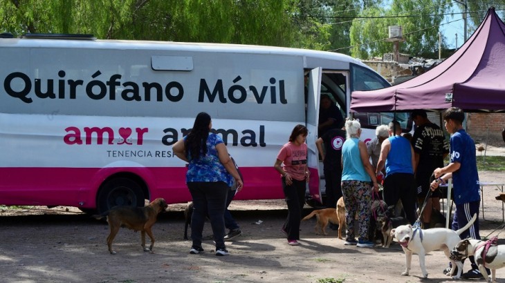 Godoy Cruz profundiza su política de bienestar animal y supera las 750 atenciones en noviembre