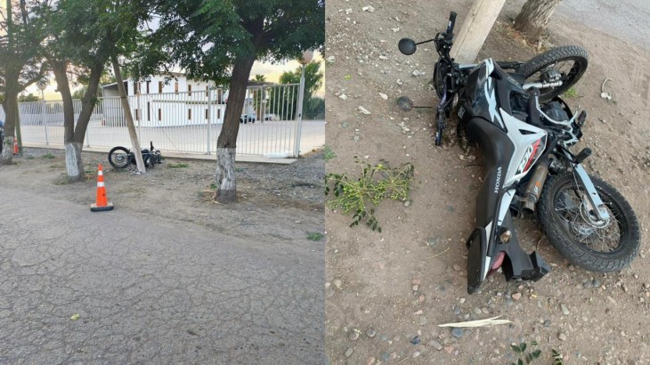Tragedia vial en Maipú: un joven motociclista falleció tras chocar contra un árbol