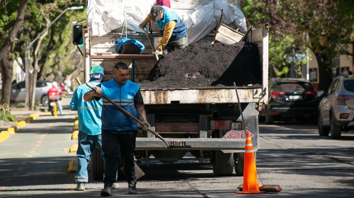 Nueva semana de trabajos en arbolado, espacios públicos y bacheo de arterias en Ciudad