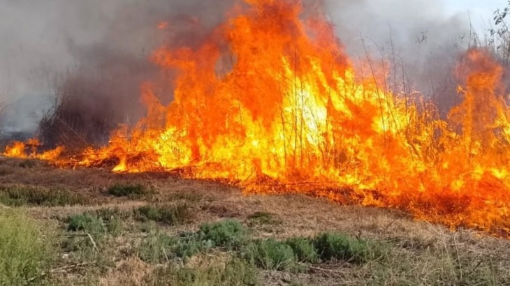 Refuerzan el combate de incendio de gran magnitud en Alvear