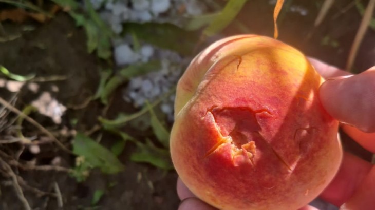 Funcionarios del Ministerio de Producción recorrieron las zonas afectadas por la tormenta en San Rafael