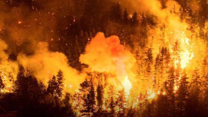 Incendios en Chubut: confirman que fueron provocados y el fuego ya arrasó más de 5.500 hectáreas