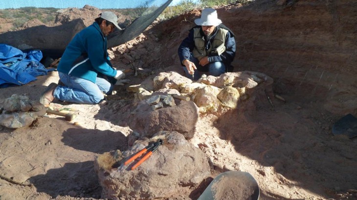 Científicos del CONICET descubrieron dinosaurio gigante en Neuquén