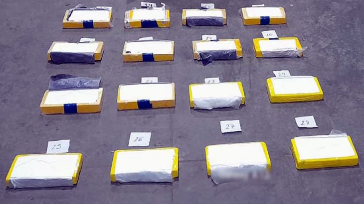 Secuestran más de 60 kilos de cocaína ocultos en un cargamento que venía a Mendoza