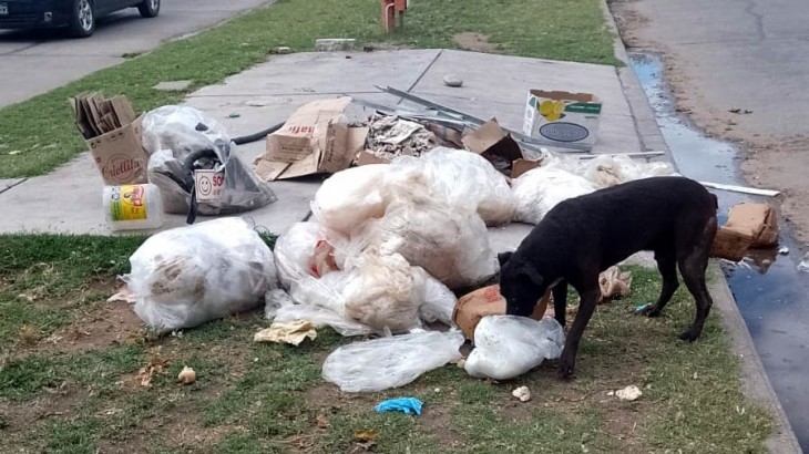Cuadrillas municipales tuvieron que limpiar basura y carne podrida arrojadas en plena vía pública