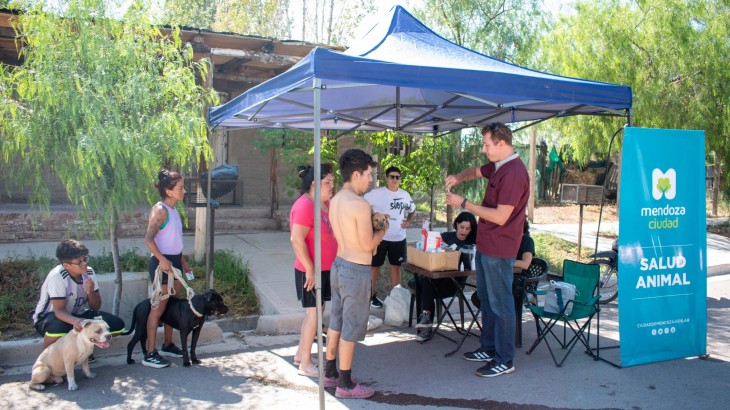 Continúa la campaña de salud animal con vacunación antirrábica y desparasitación