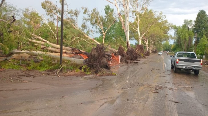 El temporal golpeó fuerte pero sin heridos graves: así respondió la Provincia