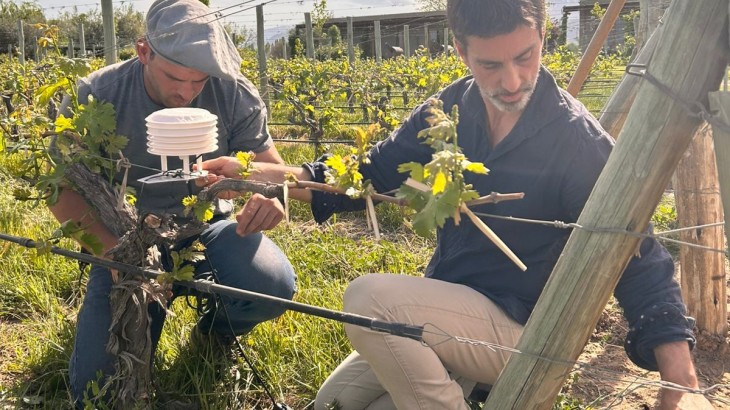 Innovación tecnológica y articulación público-privada: avanza un proyecto del Hub de Impacto Huella Mendoza