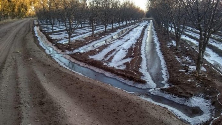 Productores afectados por granizo y heladas ya pueden descargar los Certificados Definitivos de Daños