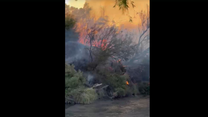 Incendio de grandes dimensiones en General Alvear: evacúan una vivienda y trabajan múltiples equipos de emergencia