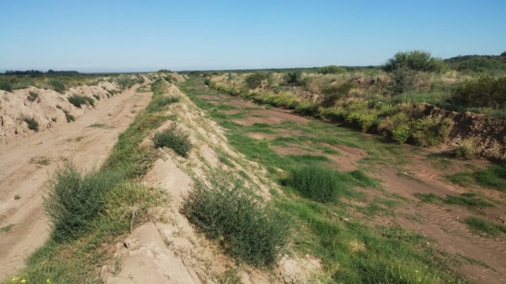 Dos empresas presentaron ofertas para la obra aluvional en el zanjón La Hedionda