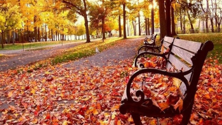 Jueves estable y con temperaturas agradables en Mendoza