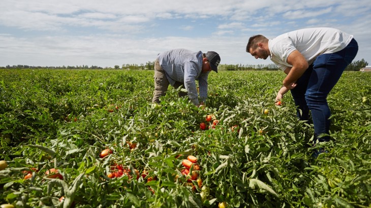 "Agua 360": abren inscripciones para formar en uso sostenible del agua en Mendoza