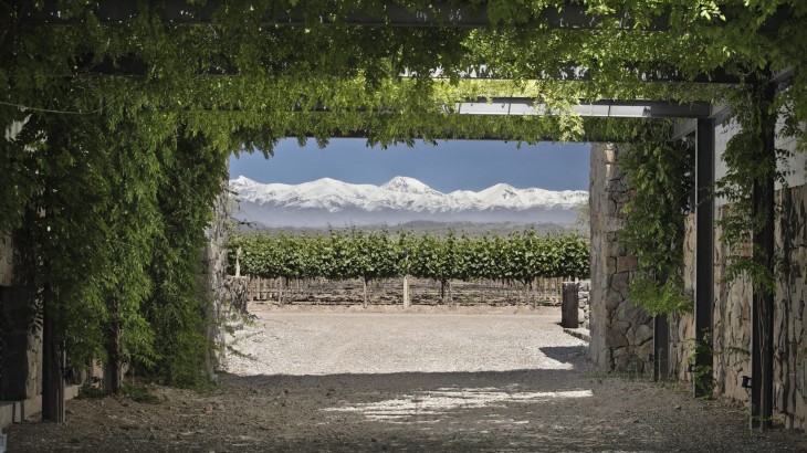 Entre viñedos y olivares, Mendoza potencia su perfil turístico con experiencias que conectan producción, cultura y paisaje