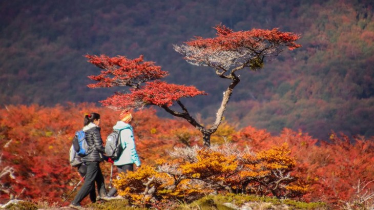 Martes frío, ventoso y con probabilidad de lluvias aisladas en Tierra del Fuego