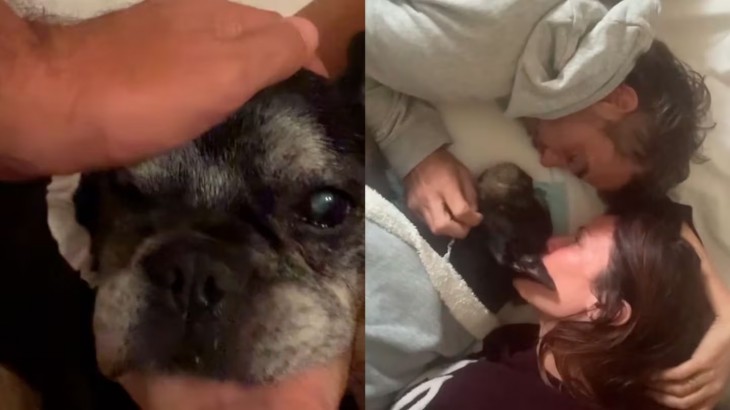 La triste despedida de Paula Chaves a Moro, su perro de 16 años