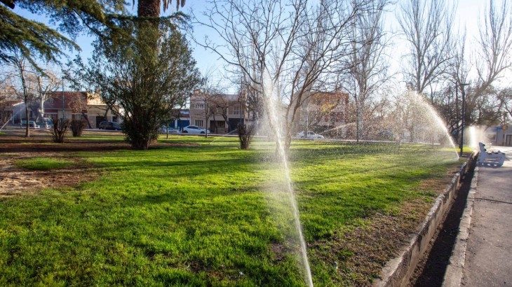 Ciudad impulsa un plan integral con forestación, eficiencia hídrica y mejoras en el espacio público