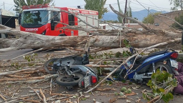 Las Heras: un motociclista murió aplastado por un árbol
