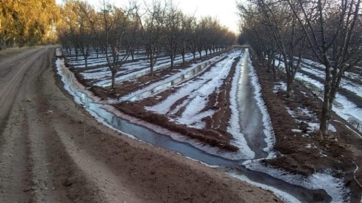 Piden a productores actualizar el RUT para acceder al Fondo Compensador Agrícola