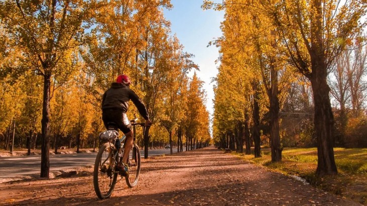 Pronóstico del tiempo: así estará el clima este domingo en Mendoza